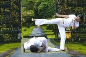 Abadá-Capoeira Burgos- Lucha, Danza Y Arte