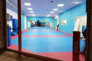 Academia De Artes Marciales Taemi