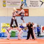 Academia De Artes Marciales Taemi