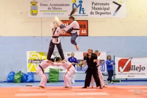 Academia De Artes Marciales Taemi