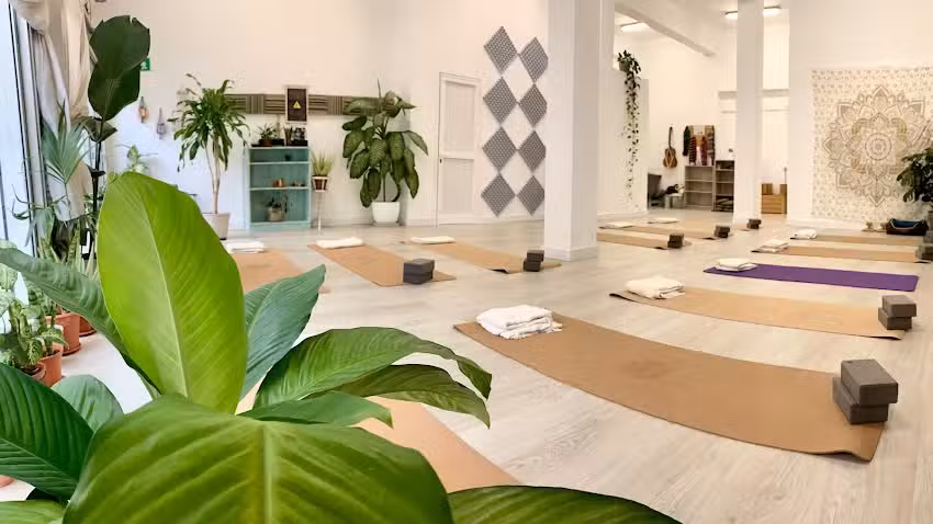 Acrosense Yoga Studio & Acroyoga Tenerife