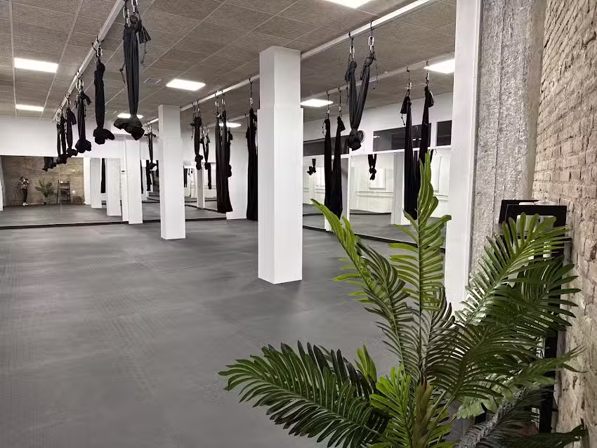 Aero Studio Seijaku – Yoga Aéreo, Reformer y Barre