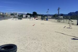 Agility Gos Muchamiel