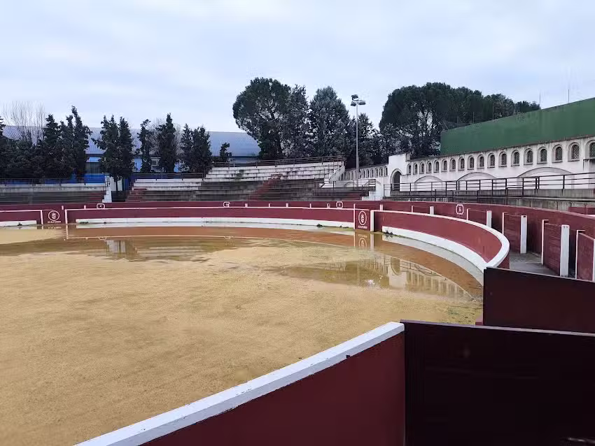 Alalpardo