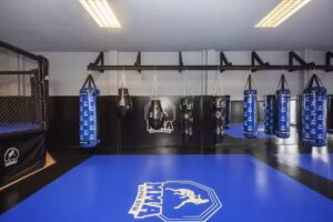 Alpha Gym MMA