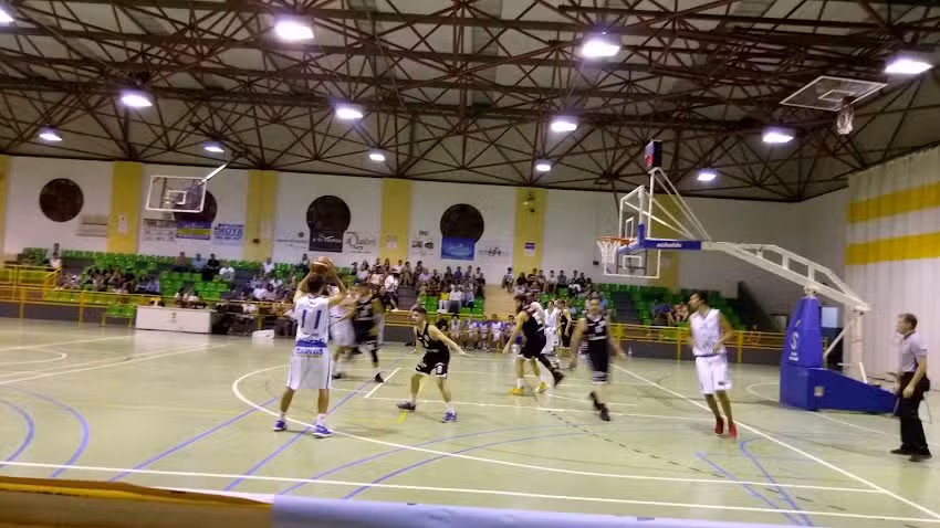 Alvac S.A. Centro Deportivo Daimiel