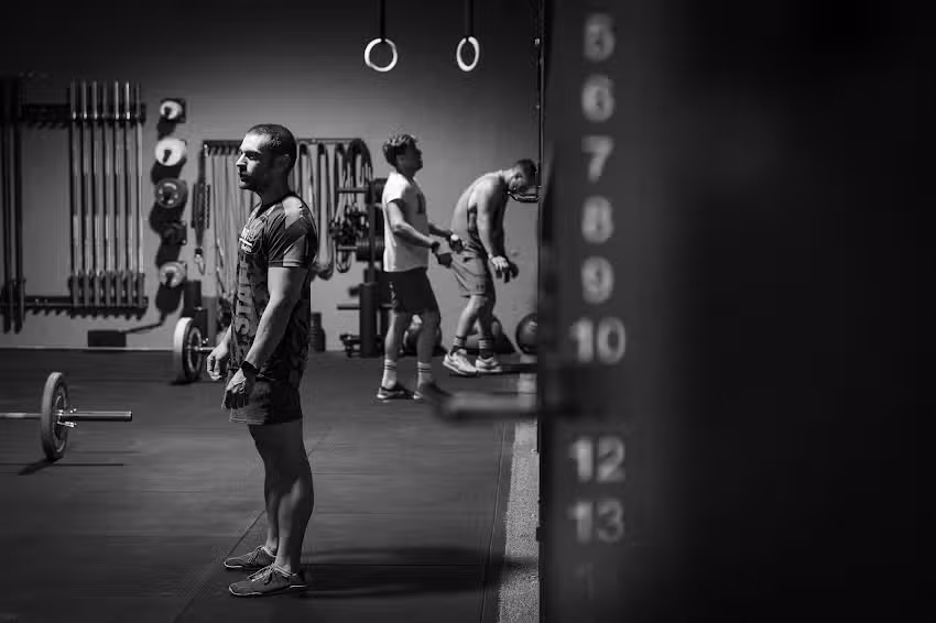 Animal Cross Castelldefels