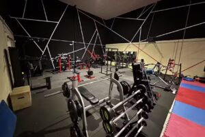 Animal Gym