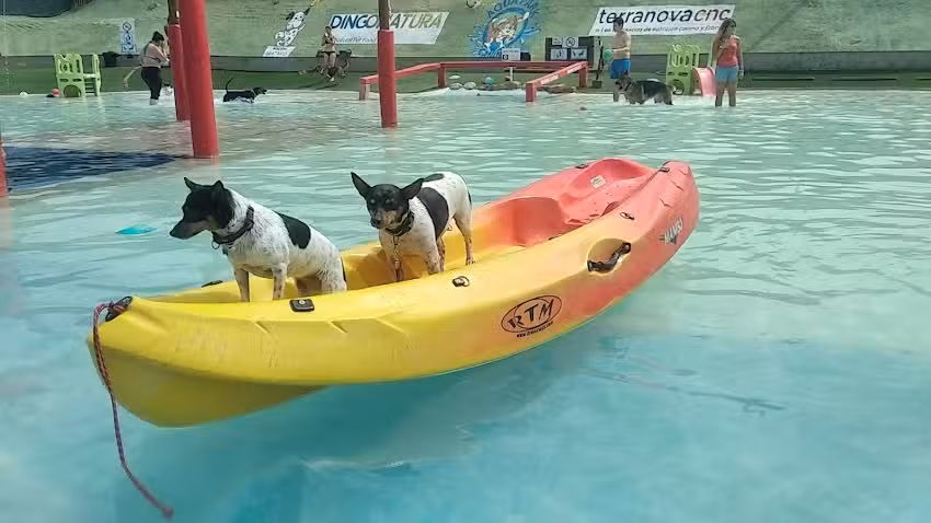 Aquapark Canino Can Jue