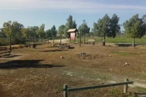 Area Recreativa De Beas