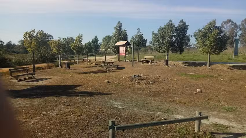 Area Recreativa De Beas