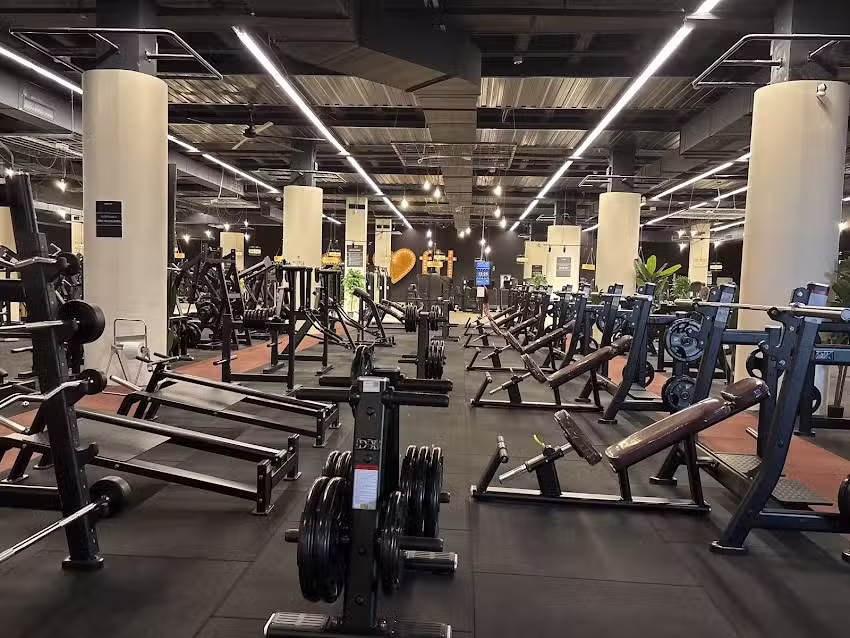 Areafit Murcia