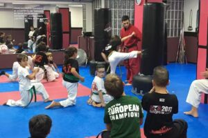 Artes Marciales MAC Sarrià