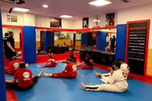 Artes Marciales Sant Boi – Mugendo