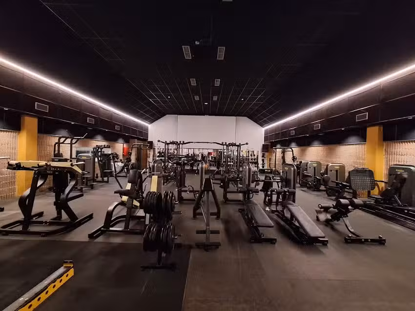 ArtGym Sport Gallery San Lorenzo