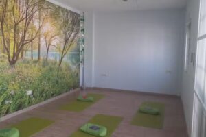 Asociación AlmmaEváditi