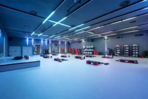 Bakh, BASKONIA ALAVÉS KIROL HIRIA