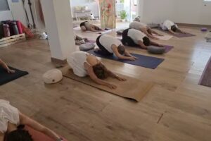 Bambú Yoga y Bienestar