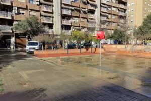 Barras de calistenia