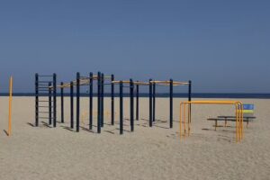 Barras de Calistenia