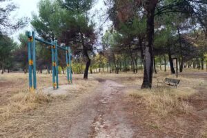 Barras de calistenia