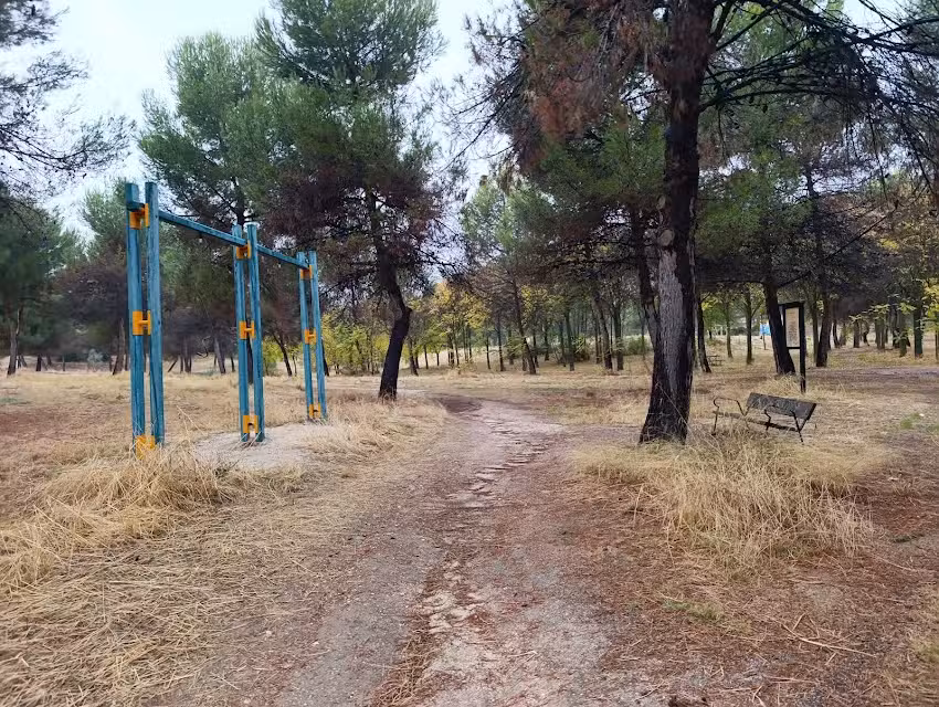 Barras de calistenia