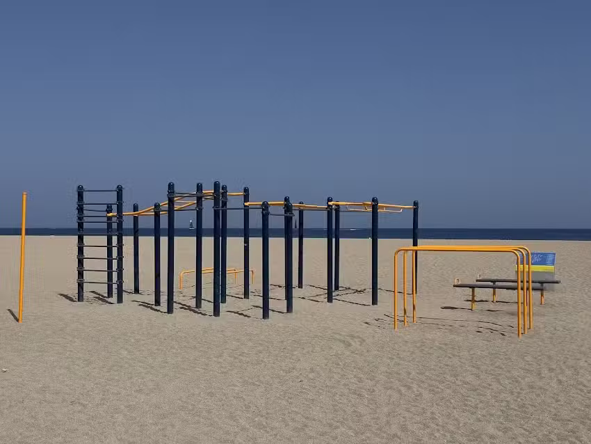 Barras de Calistenia