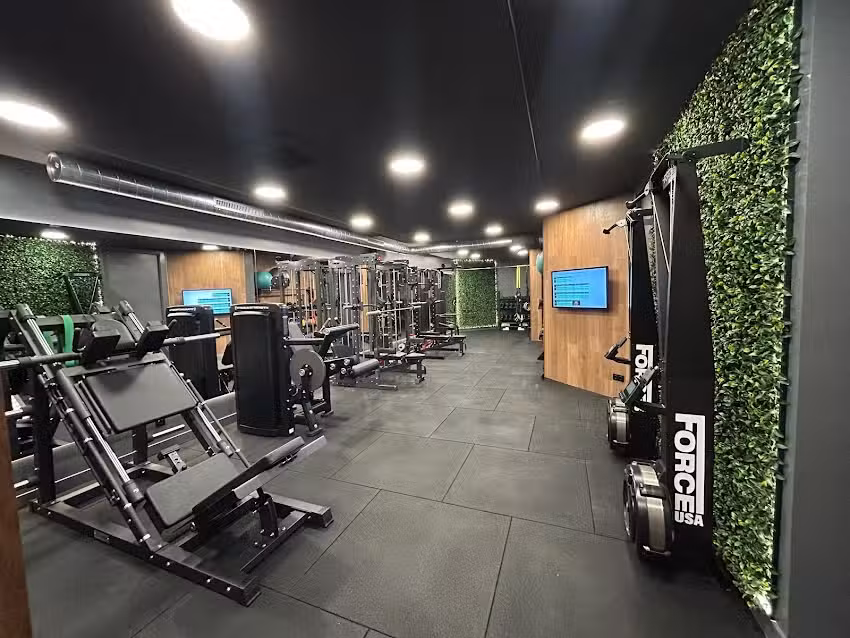 BFIT GETXO – Fisioterapia & Rehabilitación