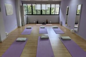 Bhasma. Escuela de yoga