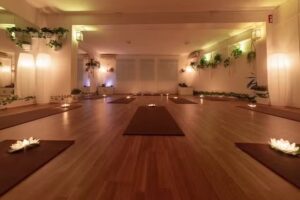 Bienestar Holístico