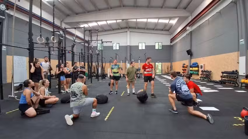 Box Bulldozer &ndash; Sakana