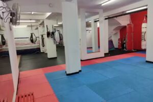 Boxeo El Rayo – Carabanchel Ⅱ