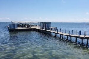 C.D.S.C.M. Ruiz de Alda