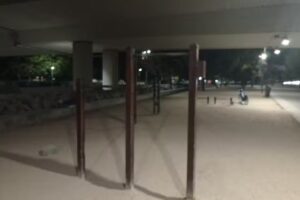 Calistenia Puente San Isidro