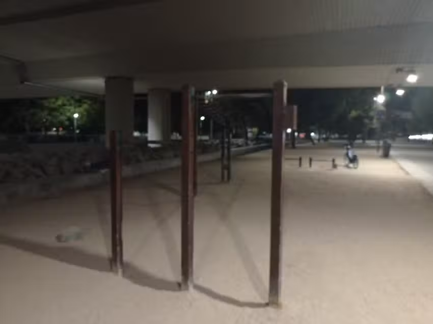 Calistenia Puente San Isidro