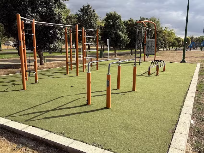 Calistenia Street Workout Triana