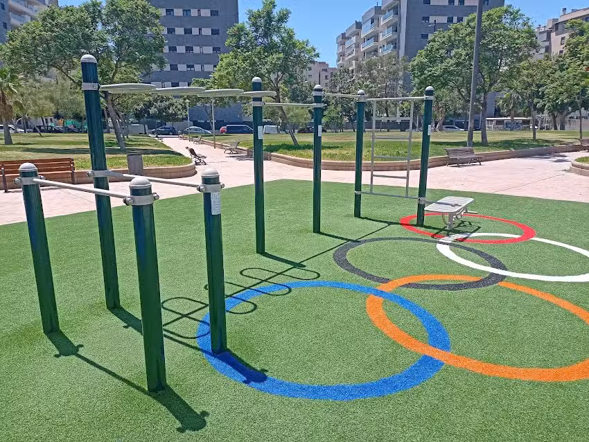 Calisthenics