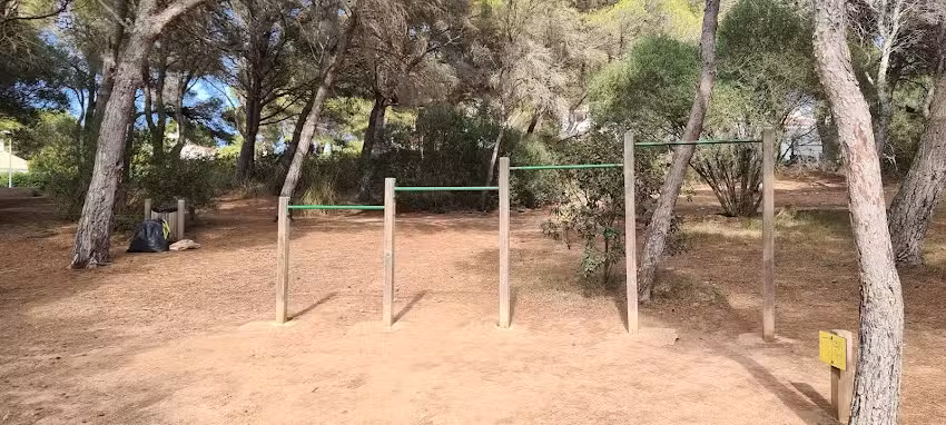 Calisthenics parc Son Parc