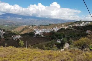 Campo De Futbol Iznate