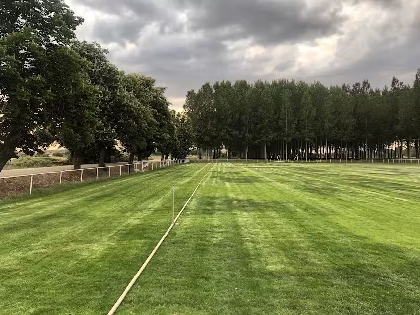 Campo de f&uacute;tbol Municipal El Sequedal