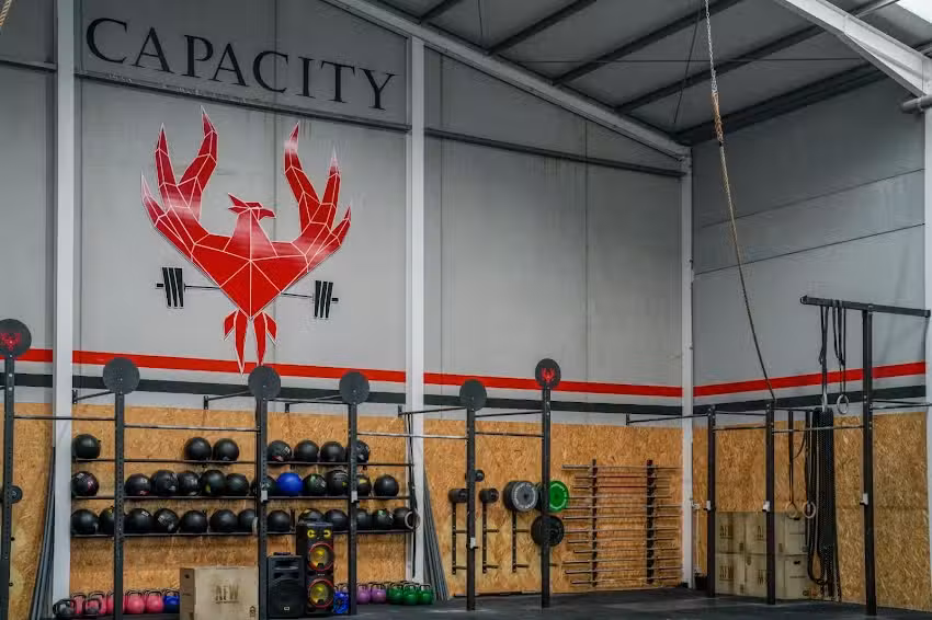 Capacity Fuente Álamo