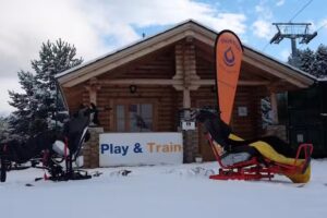 Centre d’ Esport Adaptat