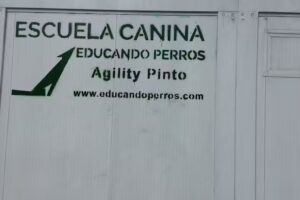 Centro Canino Educando Perros. Club Agility Pinto