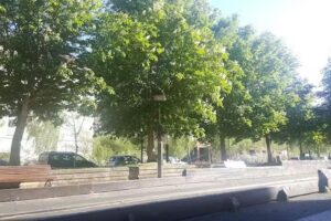 Centro de Actividad Física Adaptada Julio Roca