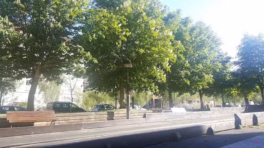 Centro de Actividad Física Adaptada Julio Roca