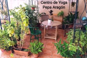 Centro de Yoga Pepa Aragón