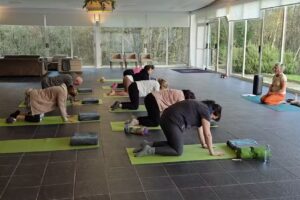 Centro de Yoga y Bienestar Levana