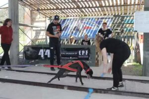 centro deportivo gismircan