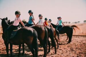 Centro Ecuestre Las Dehesillas