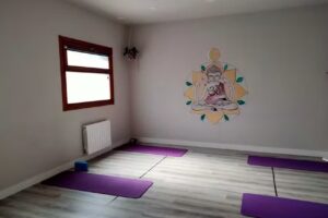 Centro Nayat Zentrua